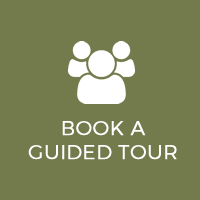 Book A Guided Tour