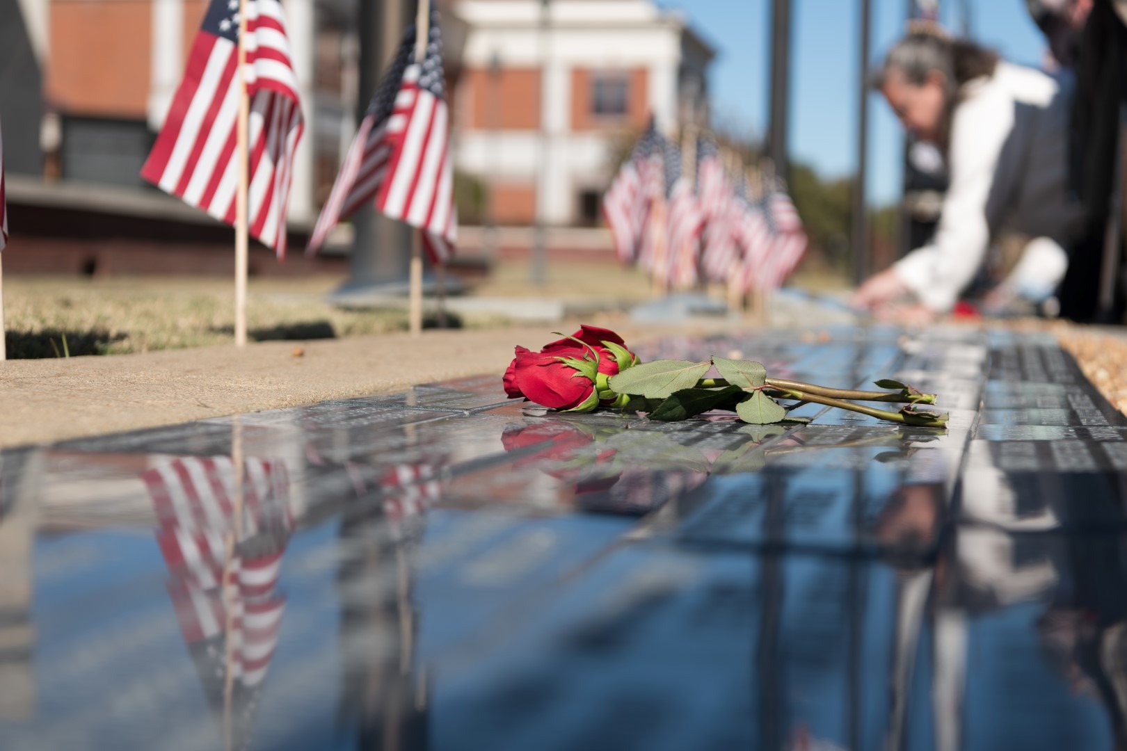 Veterans Day (Large)